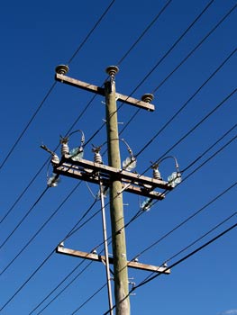 hardwood timber power pole