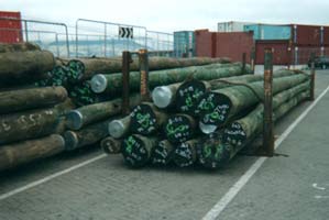timber power poles