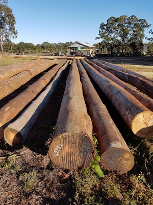 timber wharf piles